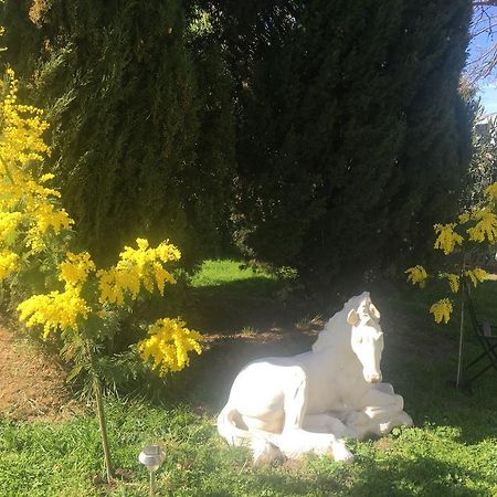 B&B Mas Les Lecques Beaucaire  Εξωτερικό φωτογραφία