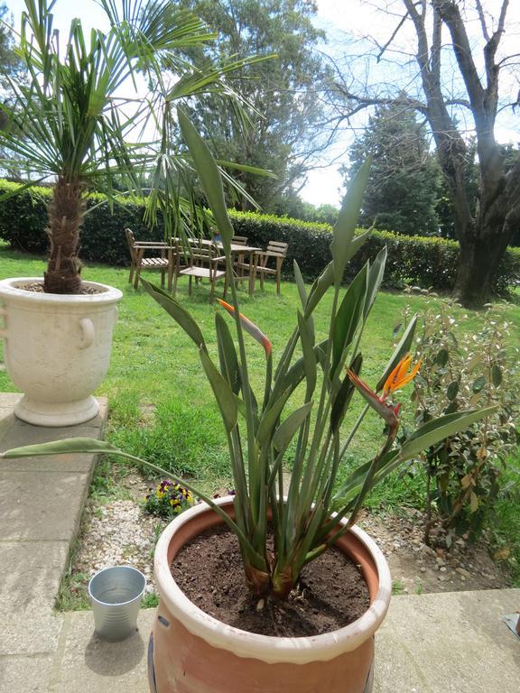 B&B Mas Les Lecques Beaucaire  Εξωτερικό φωτογραφία