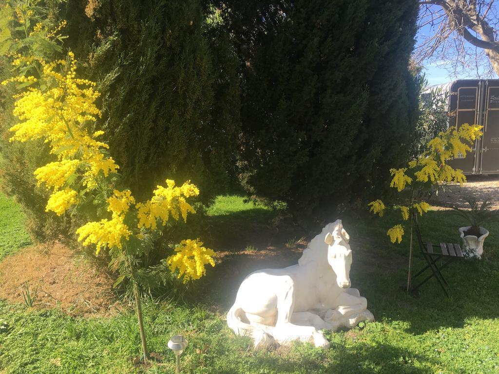 B&B Mas Les Lecques Beaucaire  Εξωτερικό φωτογραφία